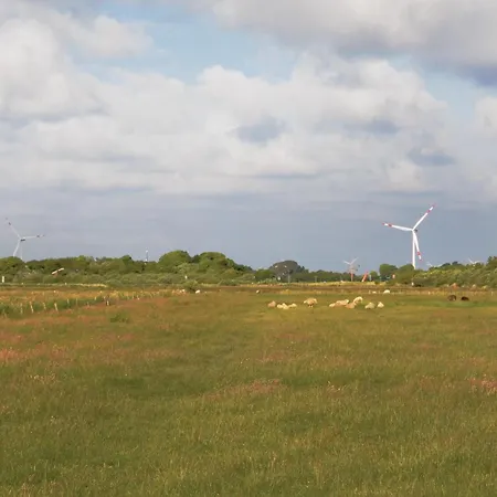 Feriehus Gorgeous In With Sauna *